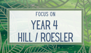 Focus on Year 4 Hill Roesler.png